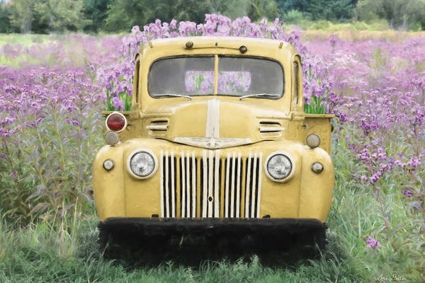 Lori Deiter: Dreams Come True by Lori Deiter