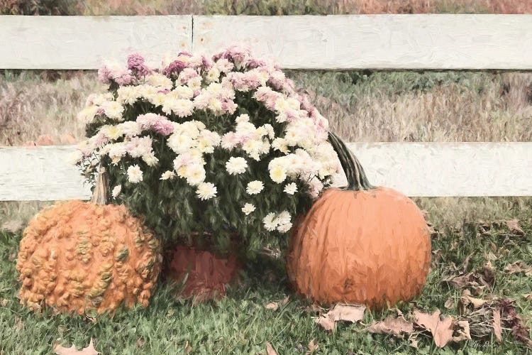 Fall Display II