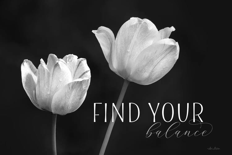 Find Your Balance by Lori Deiter wall art
