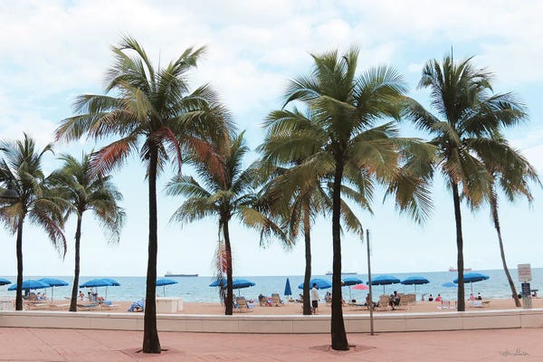Florida Beaches: Florida Palms by Lori Deiter