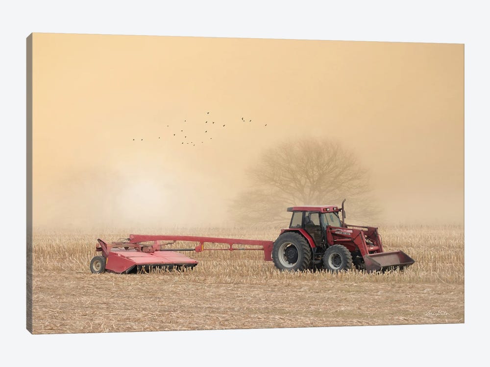 Foggy Morning In The Field by Lori Deiter 1-piece Canvas Wall Art