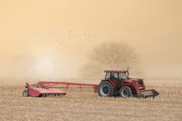 Lori Deiter: Foggy Morning In The Field by Lori Deiter