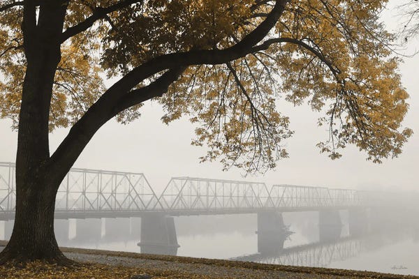 Lori Deiter: Foggy Riverview by Lori Deiter