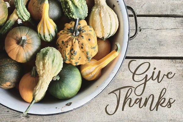 Lori Deiter: Give Thanks by Lori Deiter