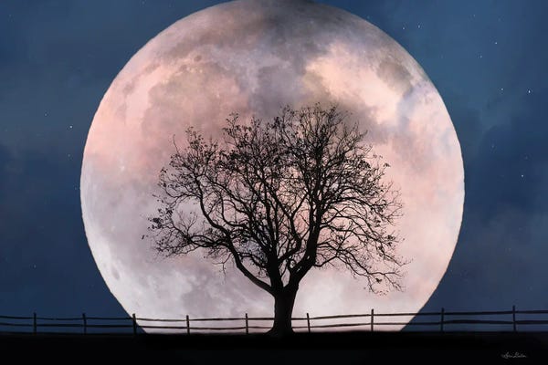 Lori Deiter: Glowing Moonrise by Lori Deiter