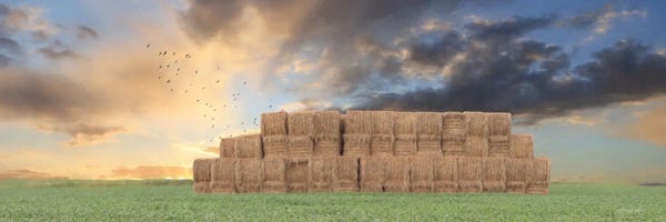 Lori Deiter: Haystack Harvest by Lori Deiter