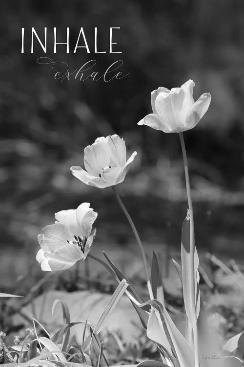 Inhale, Exhale by Lori Deiter wall art