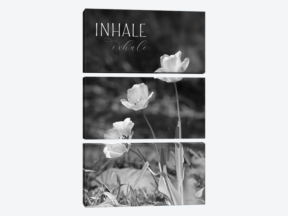 Inhale, Exhale by Lori Deiter 3-piece Canvas Art Print