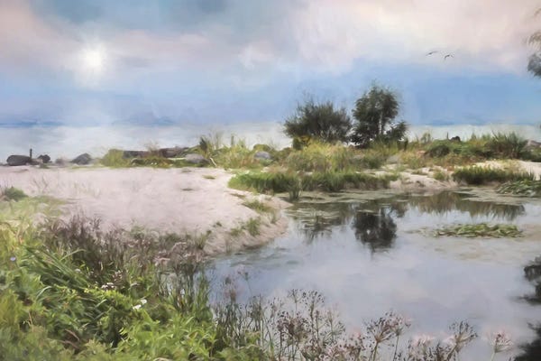 Lori Deiter: Lake Coast by Lori Deiter