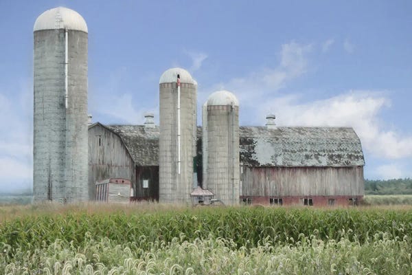 Lori Deiter: Long Point Barn by Lori Deiter