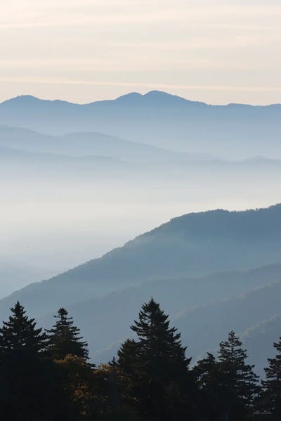 Lori Deiter: Misty Blue Mountains by Lori Deiter