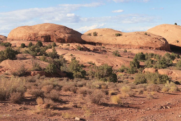 Moab Sand Flats I