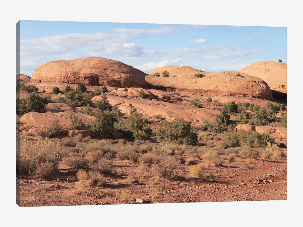 Moab Sand Flats I by Lori Deiter 1-piece Canvas Art Print