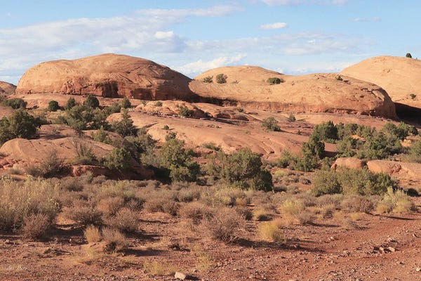 Lori Deiter: Moab Sand Flats I by Lori Deiter