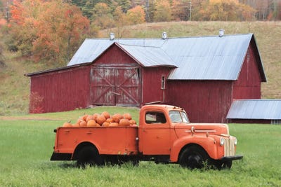 Orange Pumpkin Truck by Lori Deiter multi panel art