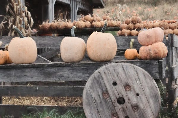 Lori Deiter: Pumpkin Market by Lori Deiter