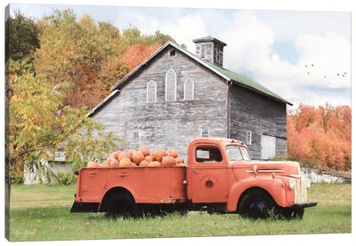 Pumpkin Patch Canvas Art Print - Country Scenic Photography
