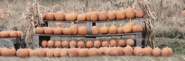 Lori Deiter: Pumpkin Picking by Lori Deiter