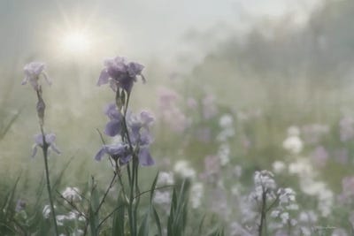 Spring Bling by Lori Deiter framed canvas print