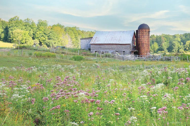 Summer On The Farm