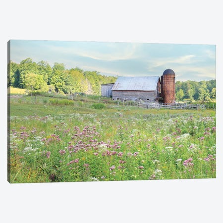 Summer On The Farm Canvas Print #LOD608} by Lori Deiter Canvas Artwork