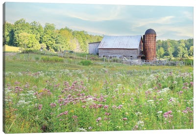 Summer On The Farm Canvas Art Print - Country Scenic Photography