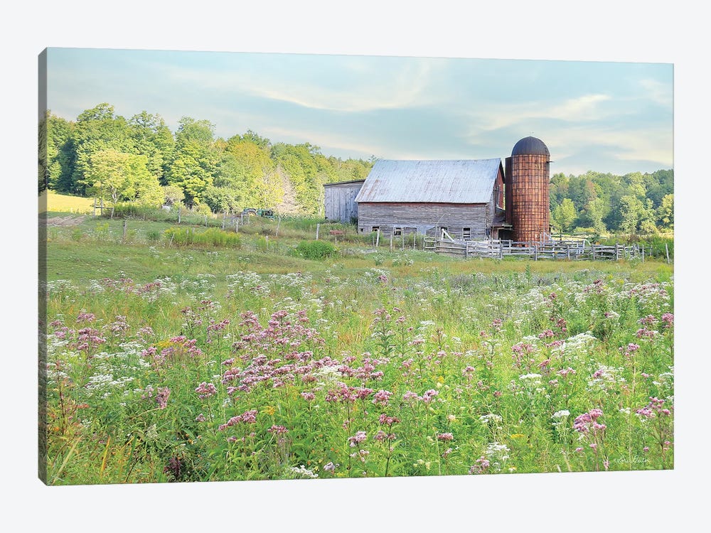 Summer On The Farm by Lori Deiter 1-piece Canvas Art