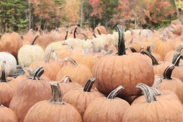Lori Deiter: The Perfect Pumpkin by Lori Deiter