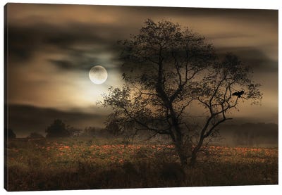 When Pumpkins Glow By Moonlight Canvas Art Print - Lori Deiter