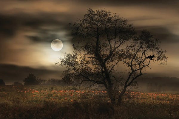 Lori Deiter: When Pumpkins Glow By Moonlight by Lori Deiter