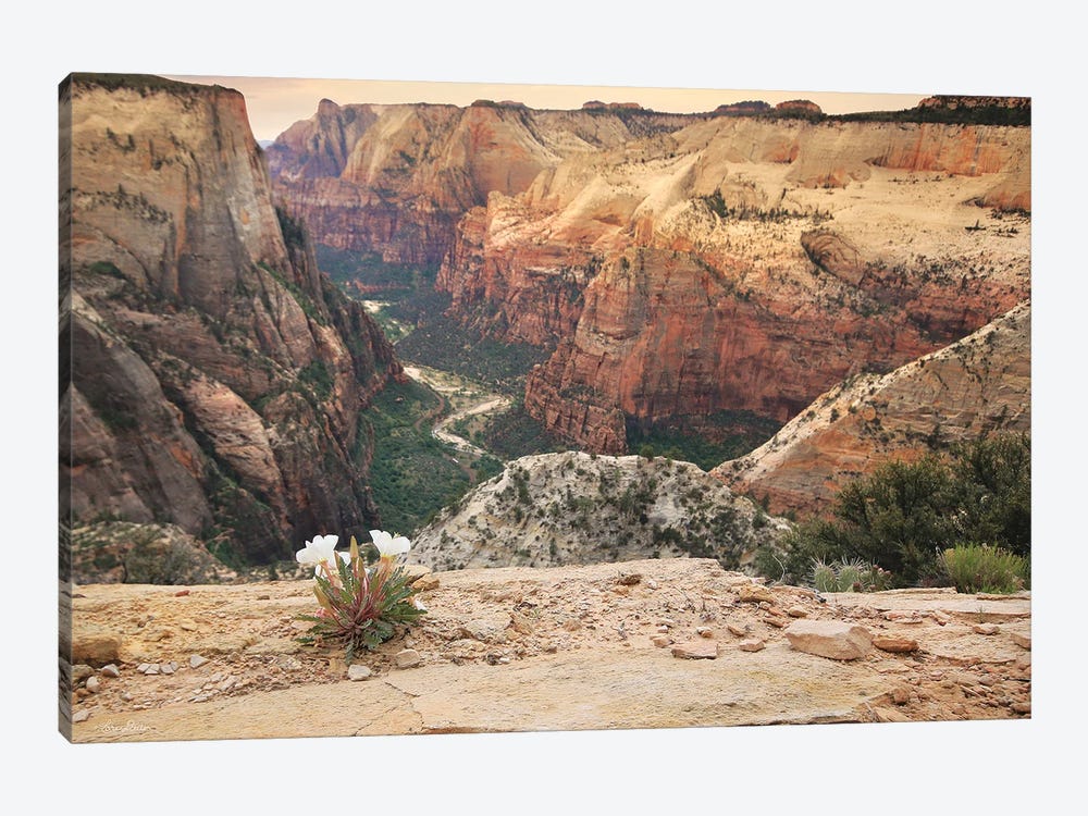 Zion Desert Life by Lori Deiter 1-piece Canvas Print