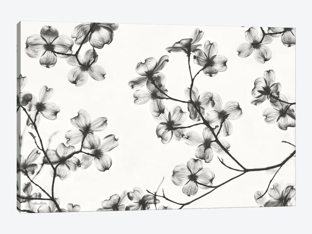 Dogwood Blossom Silhouette by Lori Deiter 1-piece Canvas Artwork