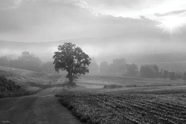 Lori Deiter: Morning Haze II by Lori Deiter