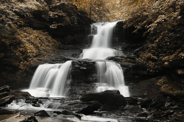 Lori Deiter: Golden Waterfall II by Lori Deiter