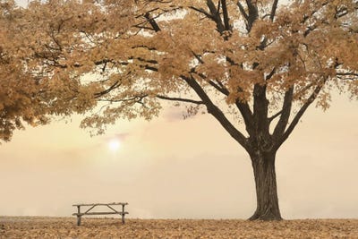 Perfect Picnic Spot by Lori Deiter framed canvas print
