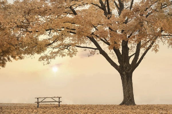 Lori Deiter: Perfect Picnic Spot by Lori Deiter