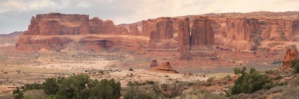 Canyons: Dusty Desert V by Lori Deiter