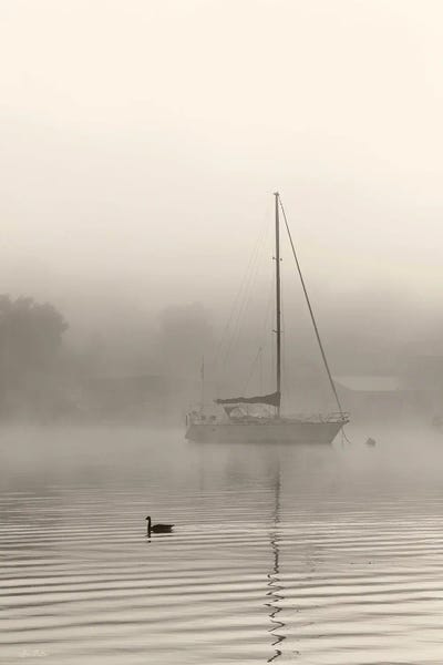 Lori Deiter: Foggy Bay by Lori Deiter