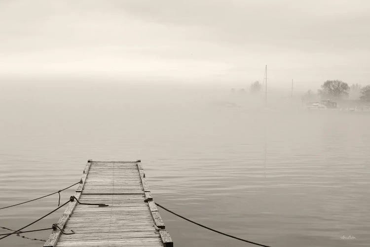 Foggy Dock