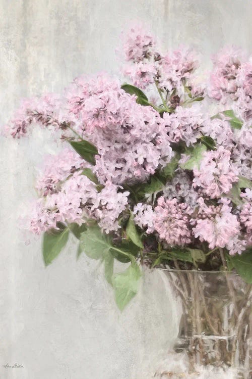 Magical Lilacs