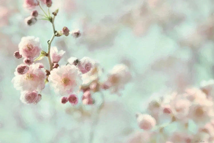 Pastel Weeping Cherry Blossom I