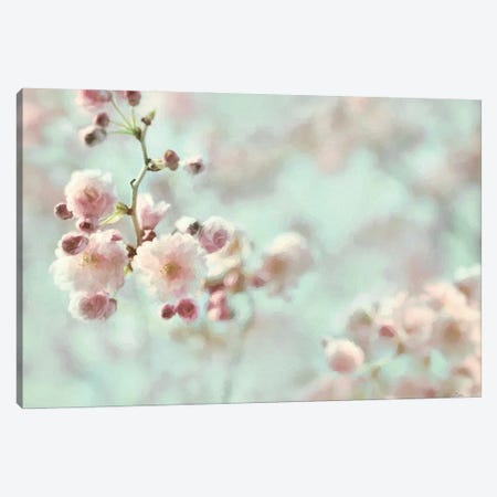 Pastel Weeping Cherry Blossom I Canvas Print #LOD635} by Lori Deiter Canvas Artwork