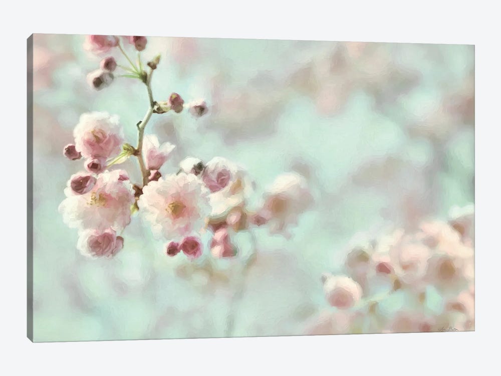 Pastel Weeping Cherry Blossom I by Lori Deiter 1-piece Canvas Art