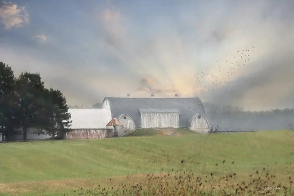 Barns: Country Morning by Lori Deiter
