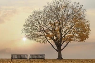 Golden Riverfront Sunrise by Lori Deiter canvas print
