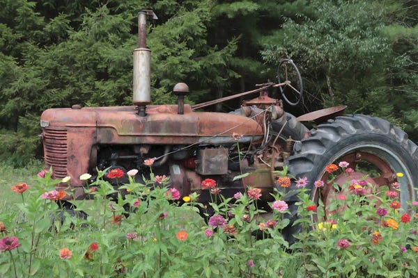 Tractors: Hidden Gem by Lori Deiter