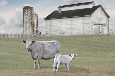 Momma and Baby Cow by Lori Deiter canvas print