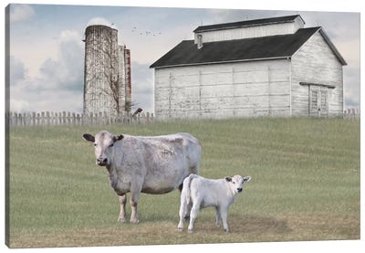 Momma and Baby Cow Canvas Art Print - Lori Deiter