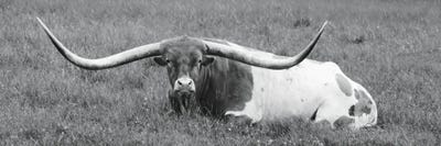 Wide Load by Lori Deiter multi panel art