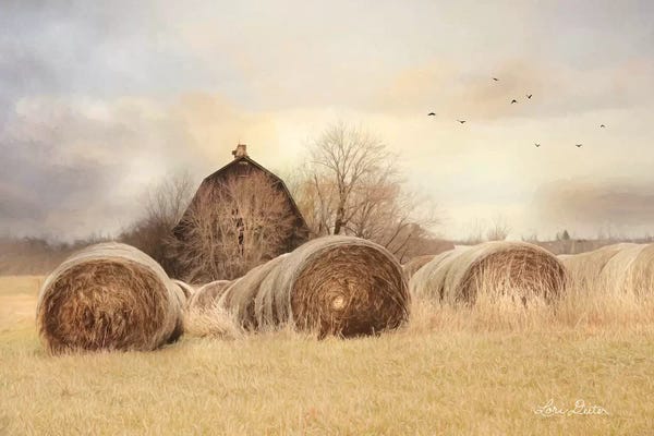 Lori Deiter: Thank a Farmer by Lori Deiter